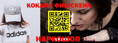 СК Гатчина