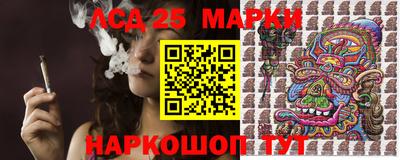 СК Гатчина
