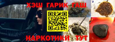 СК Гатчина