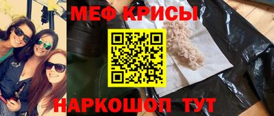 СК Гатчина