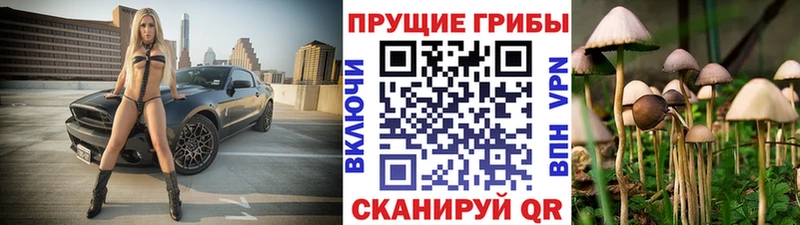 Галлюциногенные грибы GOLDEN TEACHER  Кострома 
