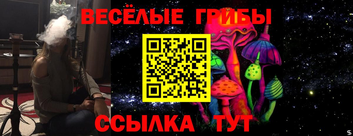 Кострома  Галлюциногенные грибы Psilocybe  Вход с VPN 